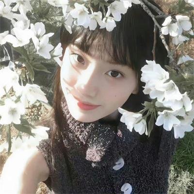 归途如虹