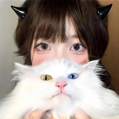 星梦泪痕